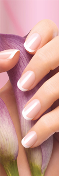 Gelife Soak-off UV Gel System